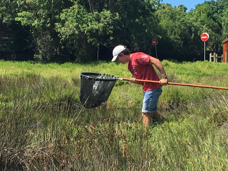 16423134 965451600252411 7709032470976017332 o 768x576