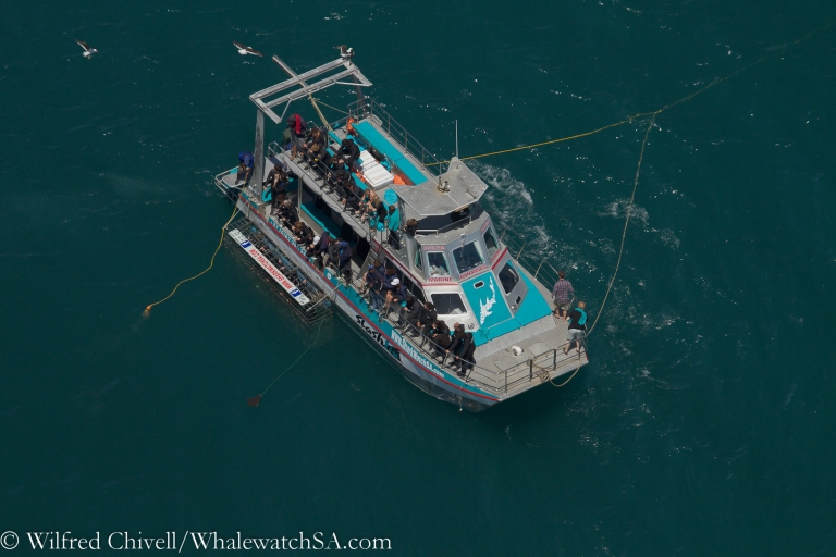 20121221 IMG 9334 768x512