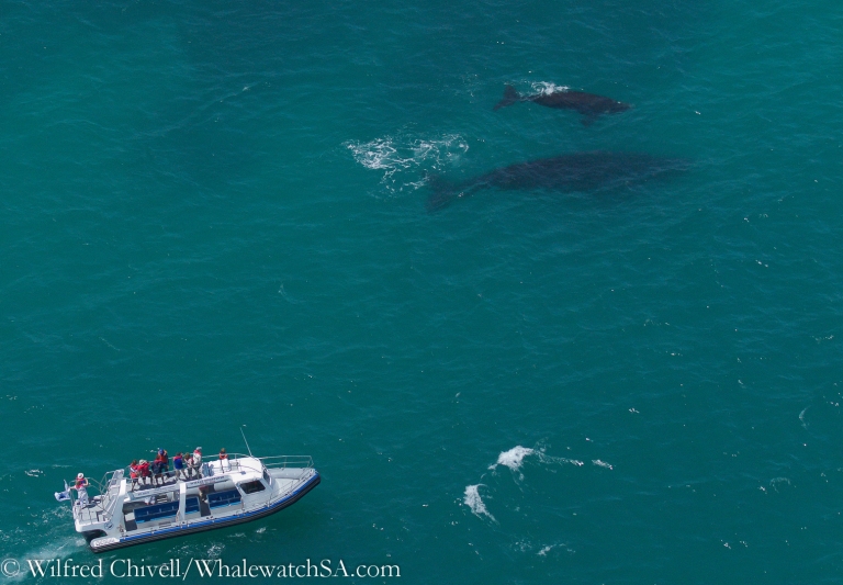 20121221 IMG 9401 768x533