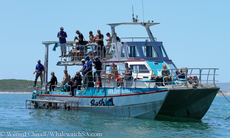 20130123 IMG 0334 768x463