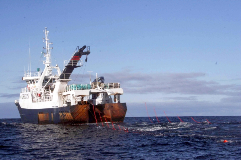 9 loggers 013 edited2 768x512