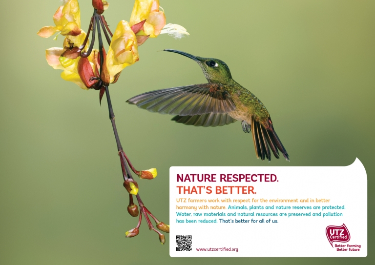 A1poster landscape 10Environment RGB 768x543