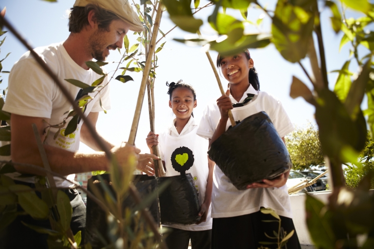 Cape Town planting 2 768x512