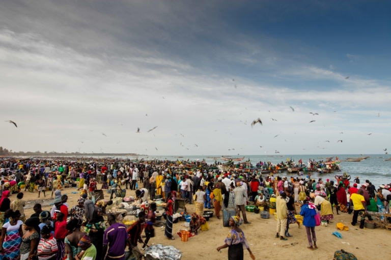 Gambia landing site 768x512
