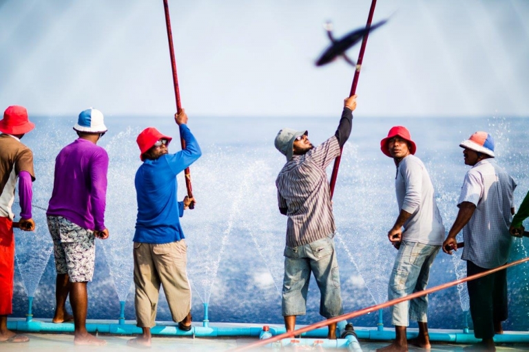 MSC Maldives 0475 768x512