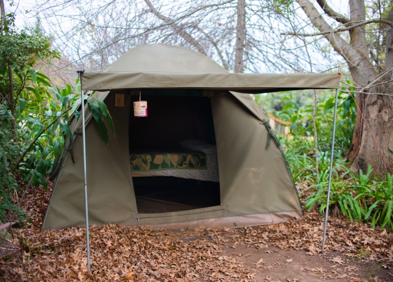 Safari camp 1 768x551