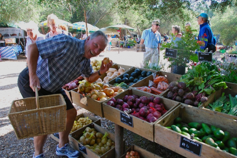 WILD OATS VEG SHOPPER 700KB 768x514