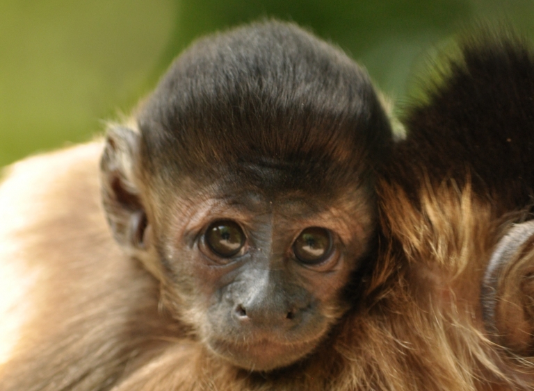 beautiful baby 768x563