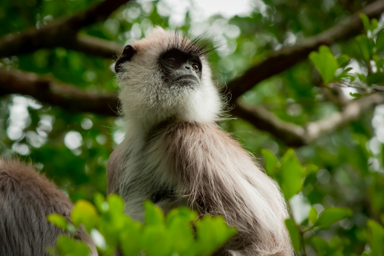 check the eyelashes 768x512