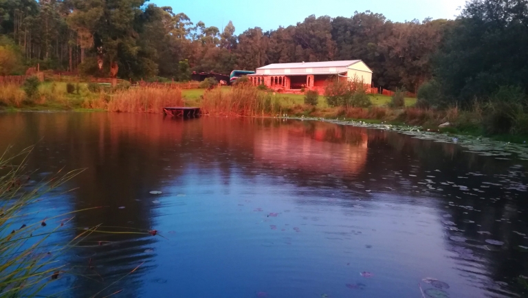 eco friendly beer 768x434