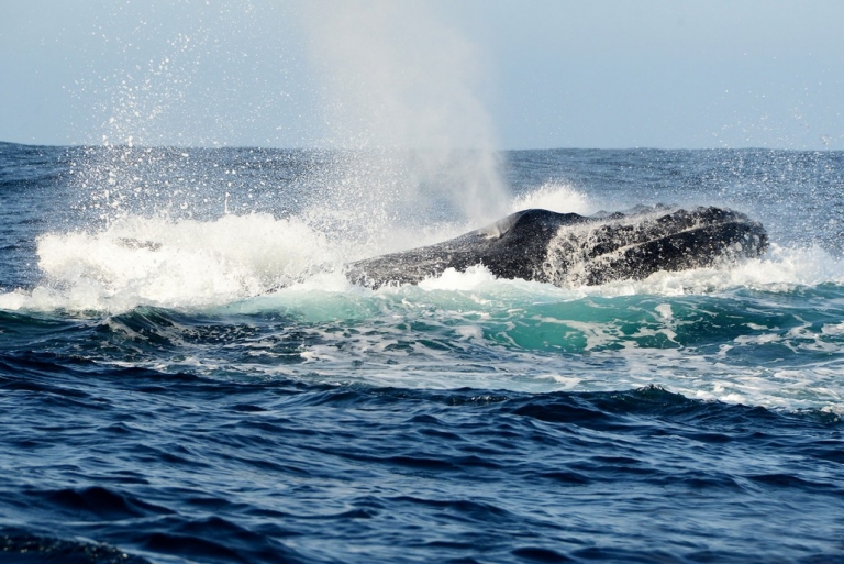 gallery 15 1030x688 1 768x513