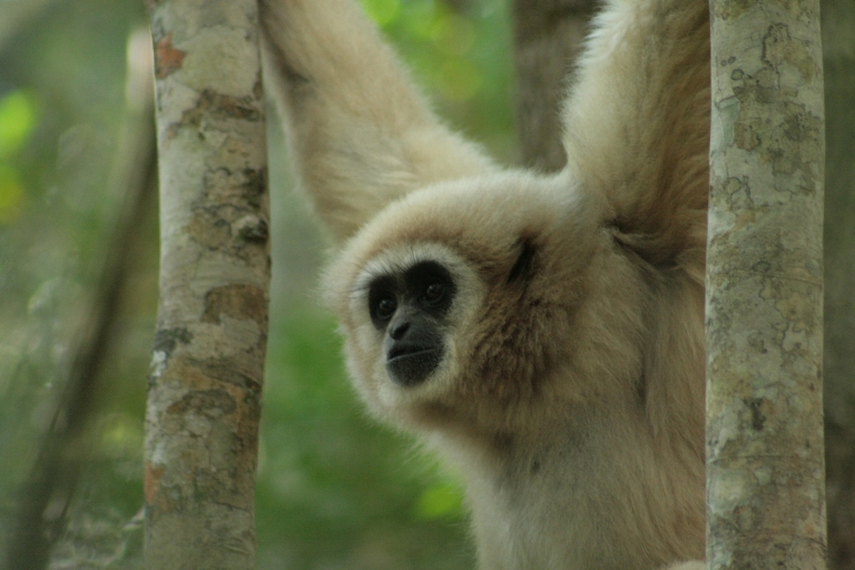 hangabout small 768x512