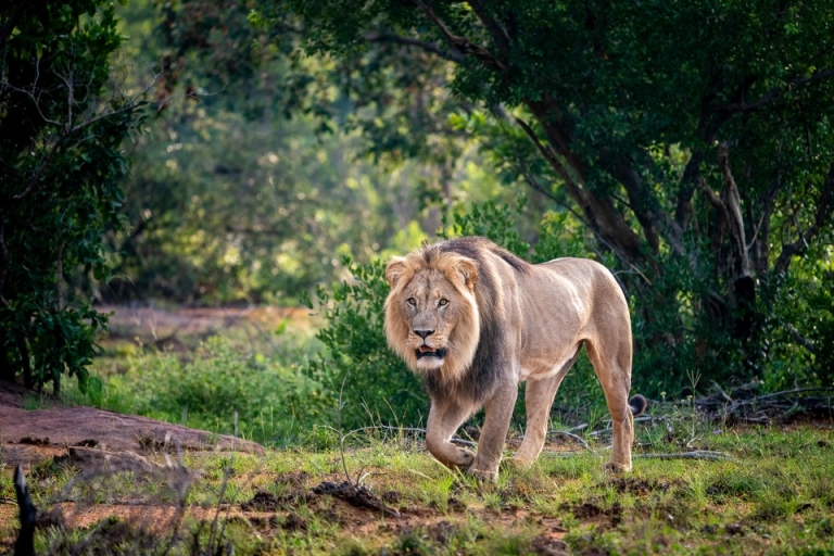 tintswalo lapalala eco atlas 768x512