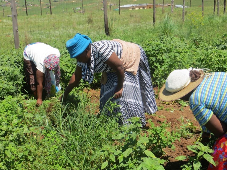 women in garden 768x576
