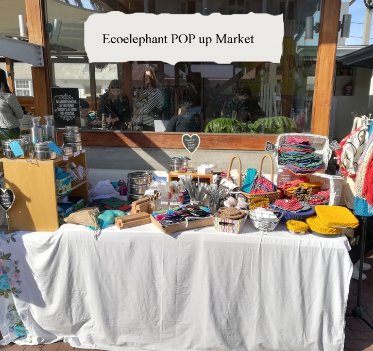 ecoelephant popup 768x723