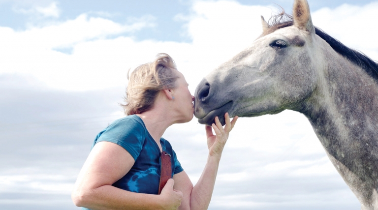 we love our horses 768x427