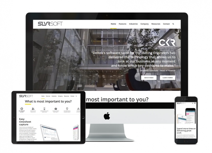 Silversoft Portfolio Image 2